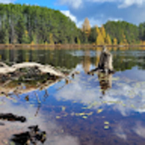 Meet your Posher, Bryce